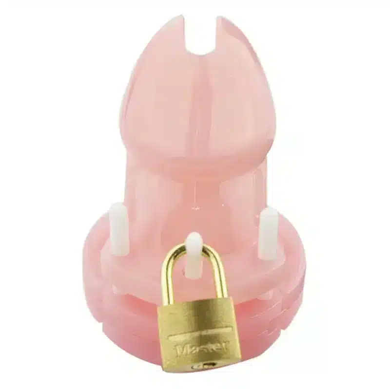 6000s short pink chastity cage with all included parts laid out against a white background