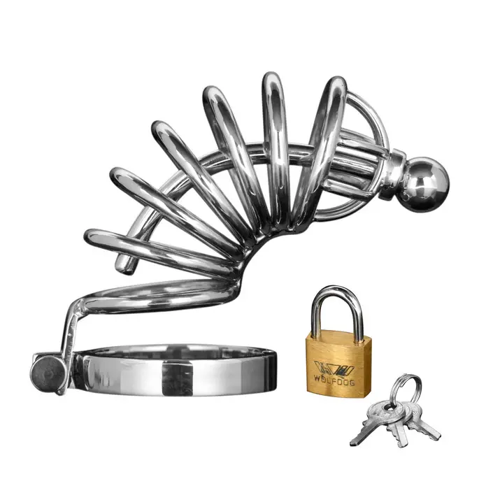 Metal chastity cage with padlock and keys.