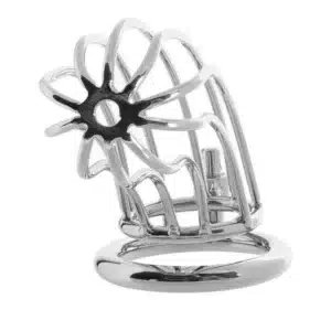 Silver metal cage with circular base