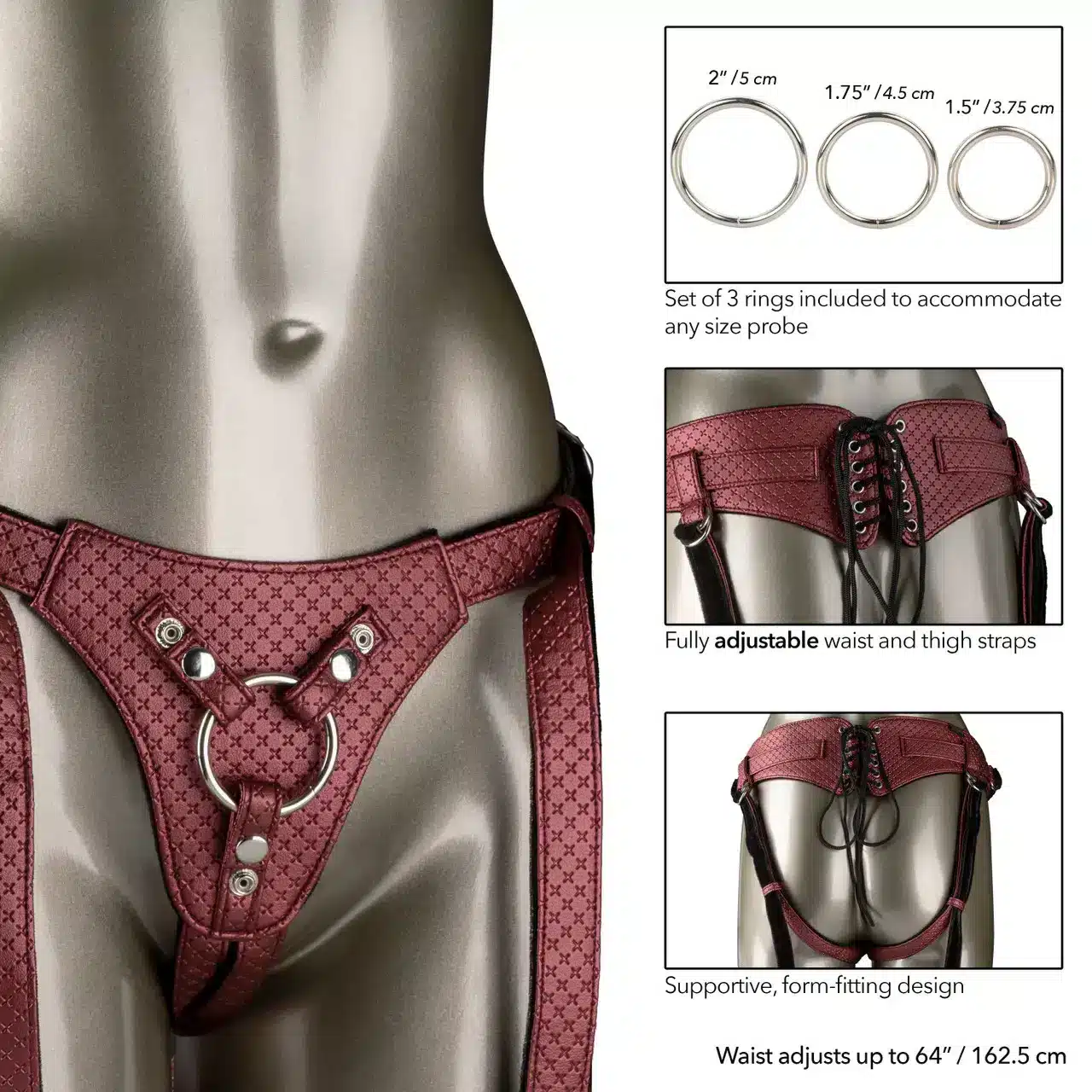 Adjustable harness with rings for size versatility.